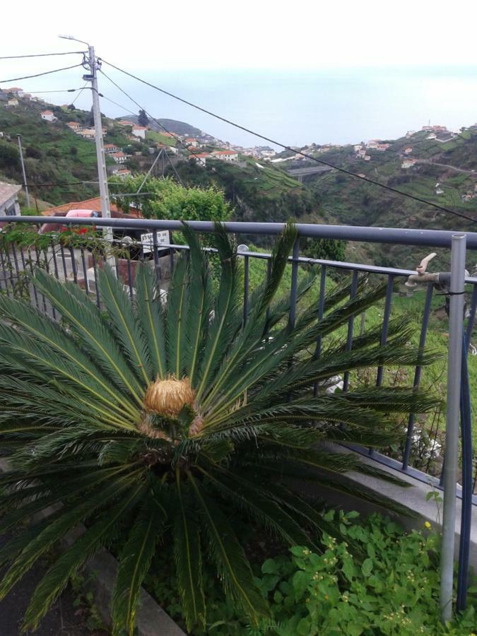 Apartamento Barros Estreito de Câmara de Lobos Kültér fotó